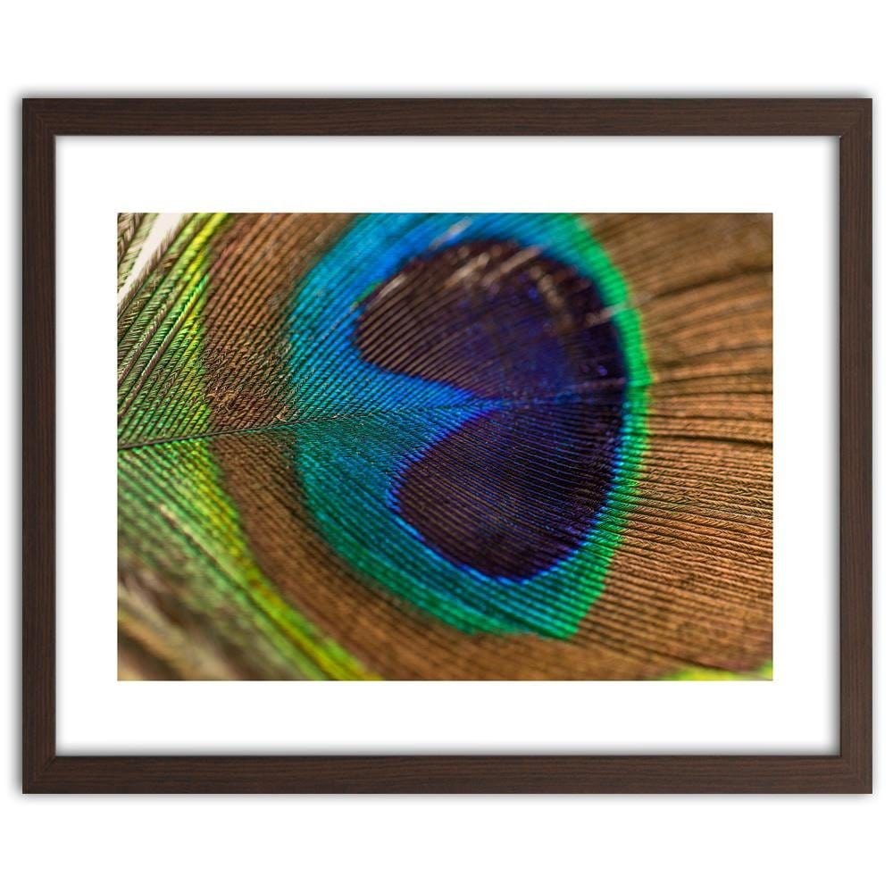 Glezna brūnā rāmī - Peacocks Eye Home Trends DECO