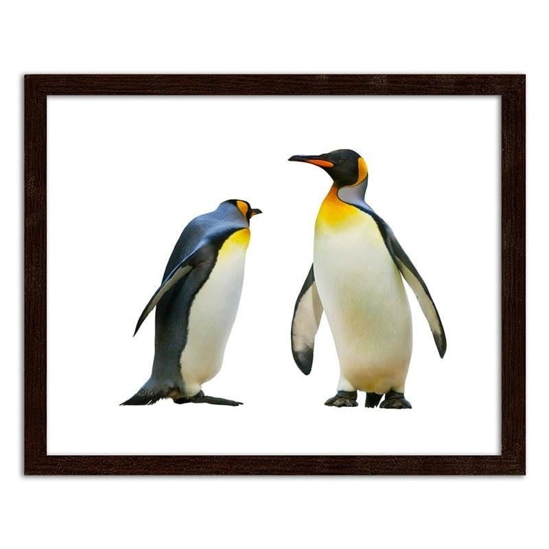 Glezna brūnā rāmī - Penguins Home Trends DECO