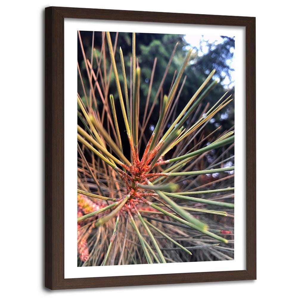 Glezna brūnā rāmī - Pine Needles Home Trends DECO