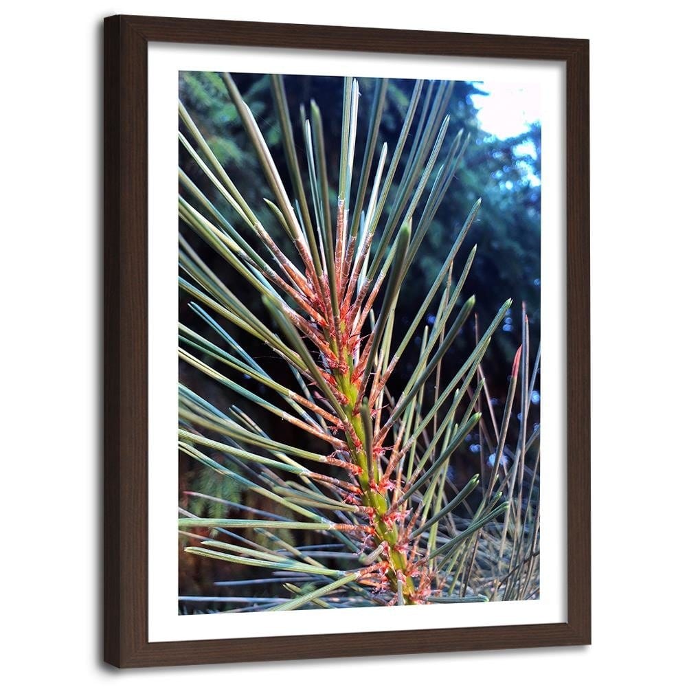 Glezna brūnā rāmī - Pine Needles Home Trends DECO