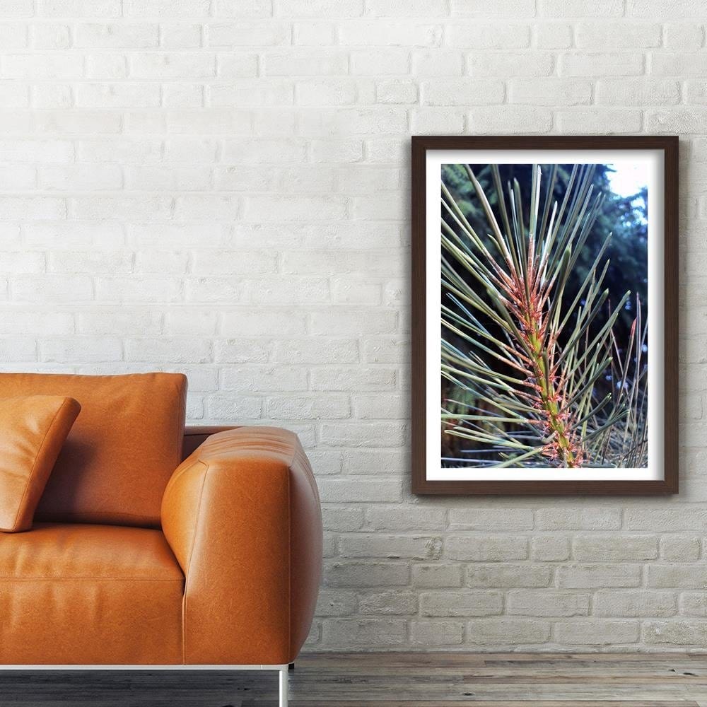Glezna brūnā rāmī - Pine Needles Home Trends DECO