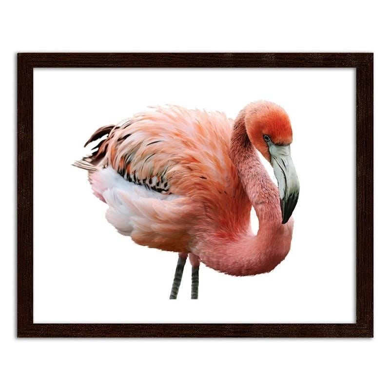 Glezna brūnā rāmī - Pink flamingo Home Trends DECO