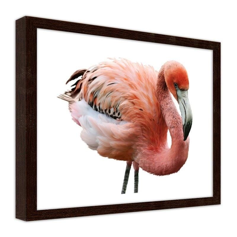 Glezna brūnā rāmī - Pink flamingo Home Trends DECO