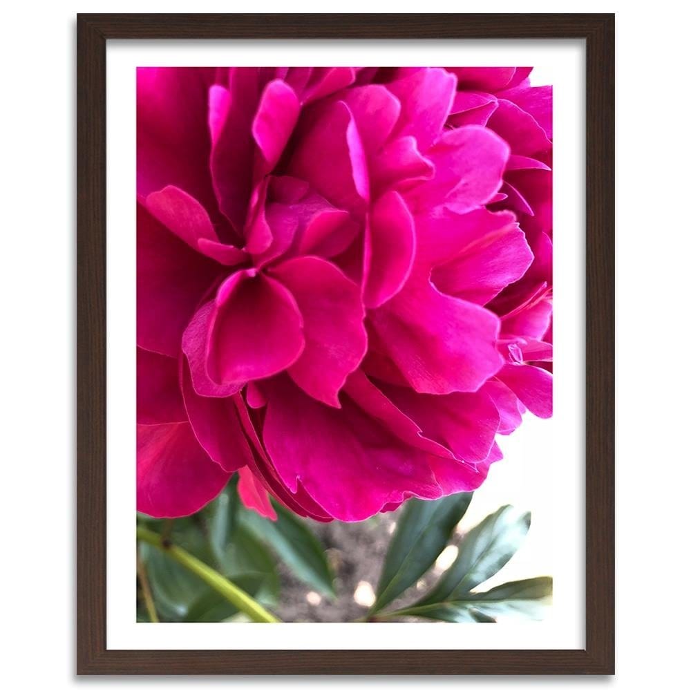 Glezna brūnā rāmī - Pink Peony Home Trends DECO