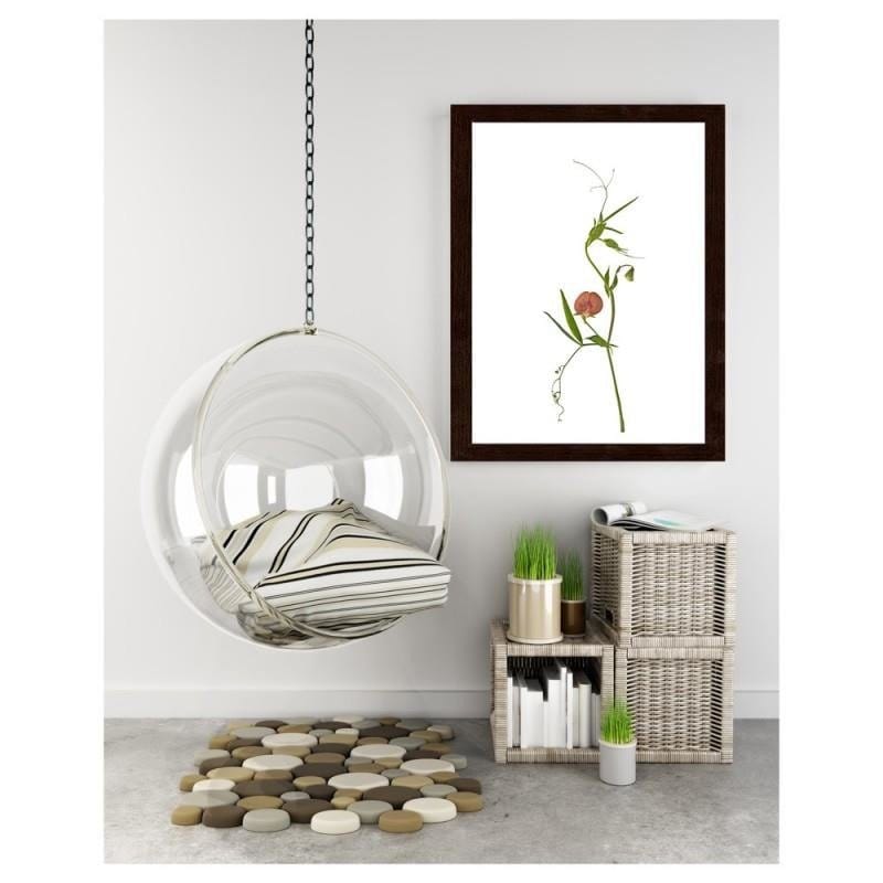 Glezna brūnā rāmī - Plant Home Trends DECO