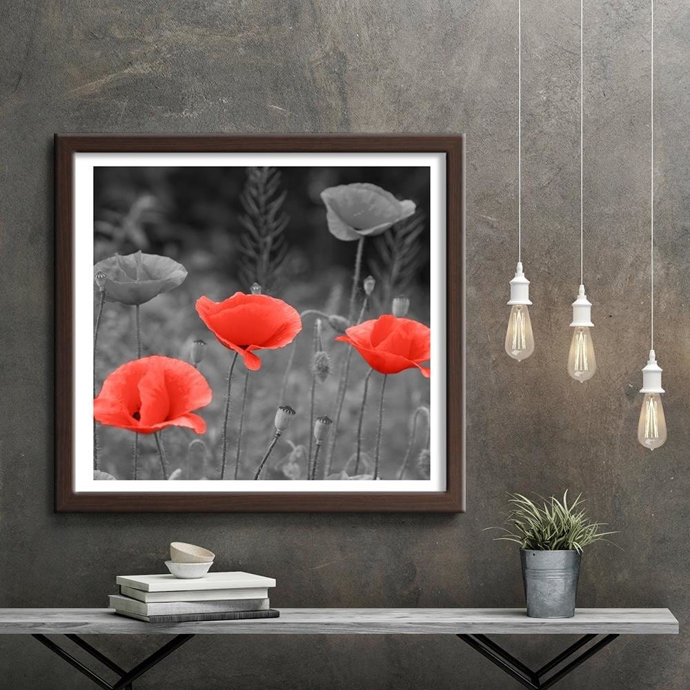 Glezna brūnā rāmī - Poppies In The Meadow Home Trends DECO