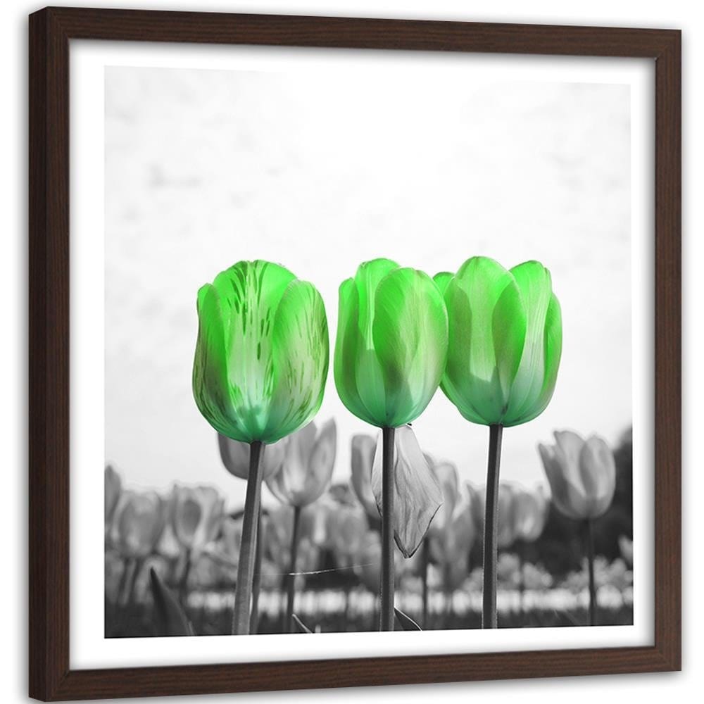 Glezna brūnā rāmī - Poppies On Green Meadow Home Trends DECO