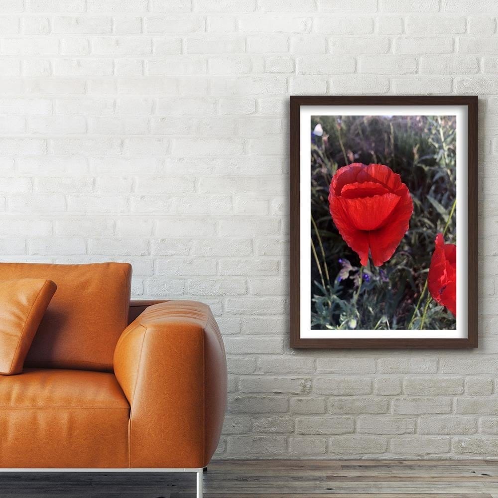 Glezna brūnā rāmī - Poppy Petals Home Trends DECO