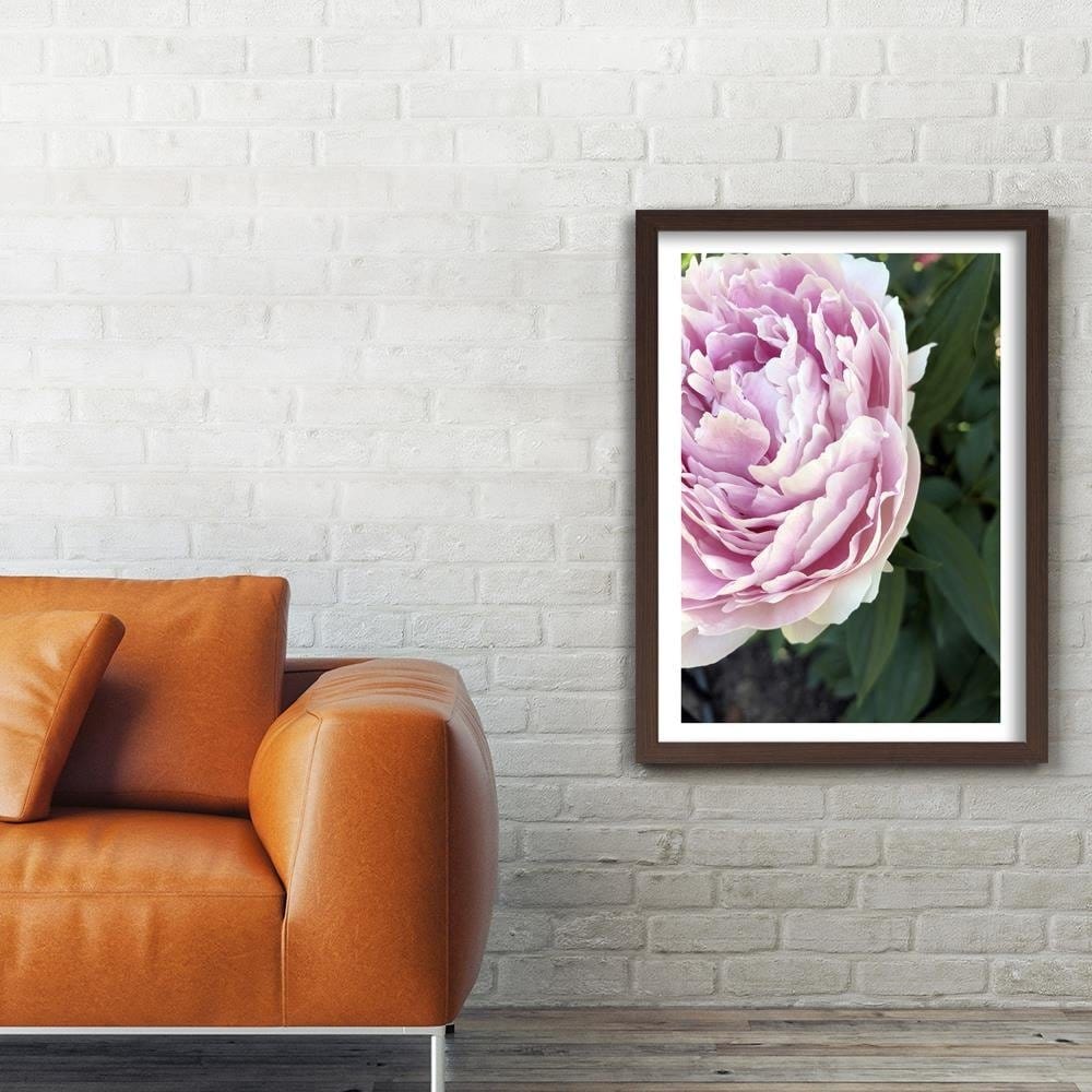 Glezna brūnā rāmī - Pretty Pink Peony Home Trends DECO