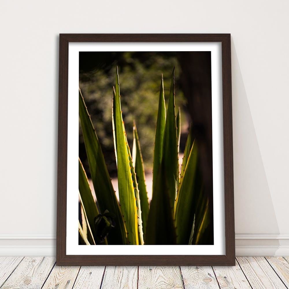 Glezna brūnā rāmī - Prickly Leaves Home Trends DECO