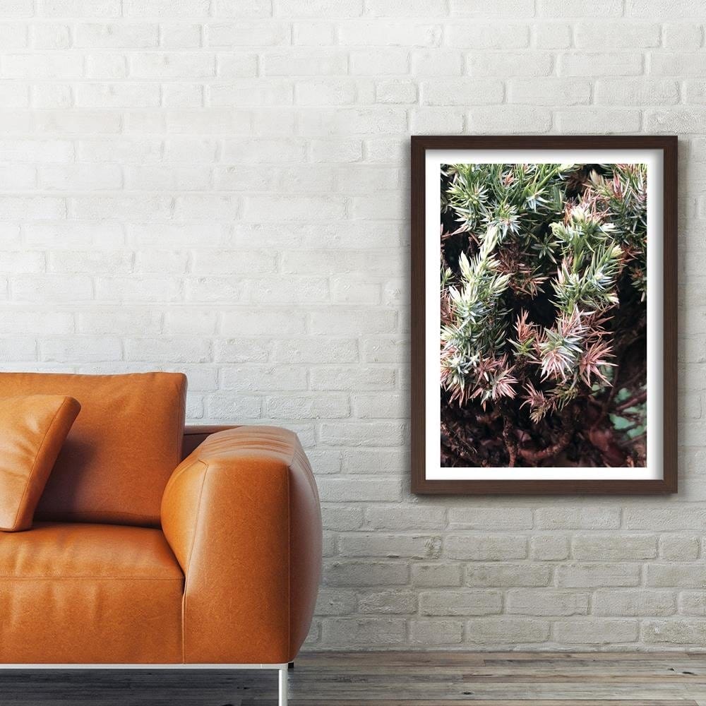 Glezna brūnā rāmī - Prickly Shrub Home Trends DECO