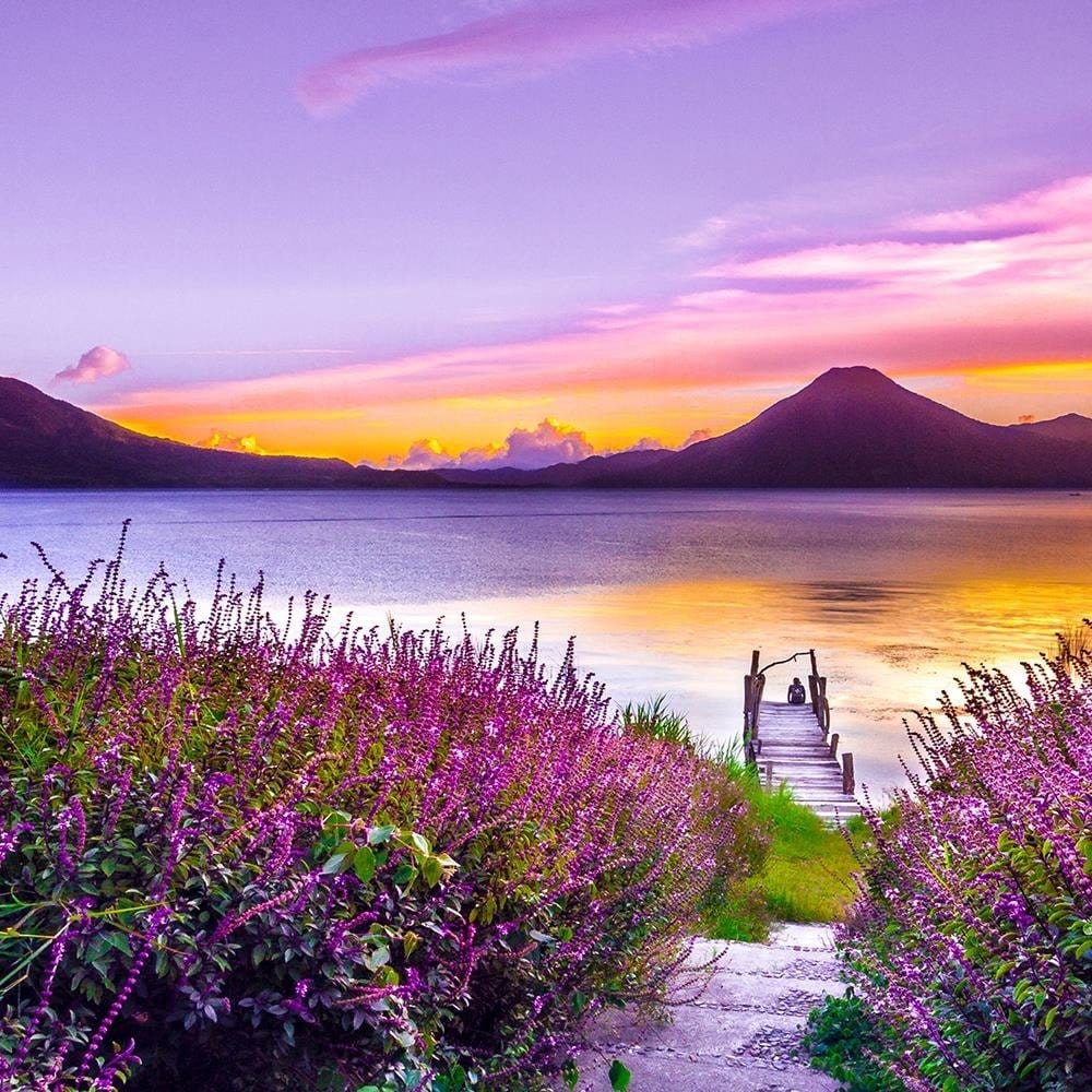 Glezna brūnā rāmī - Purple Paradise Home Trends DECO