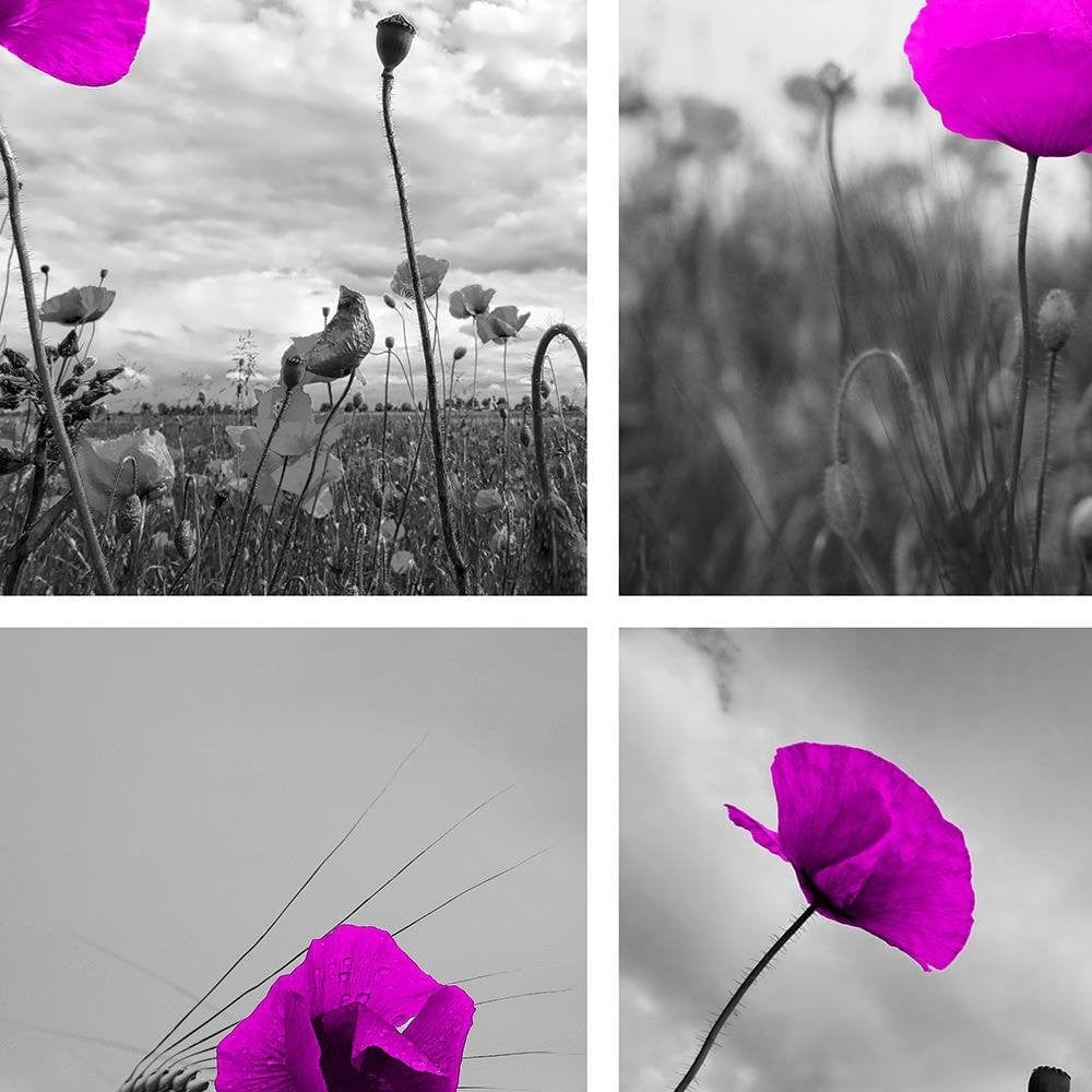 Glezna brūnā rāmī - Purple Poppies Home Trends DECO