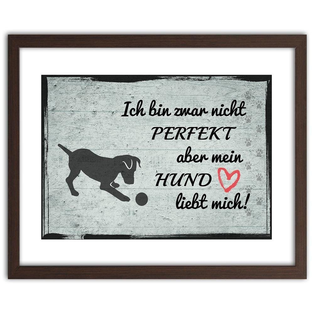 Glezna brūnā rāmī - Quote Dog With Ball Home Trends DECO