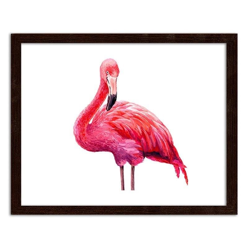 Glezna brūnā rāmī - Realistic illustration of a pink flamingo Home Trends DECO
