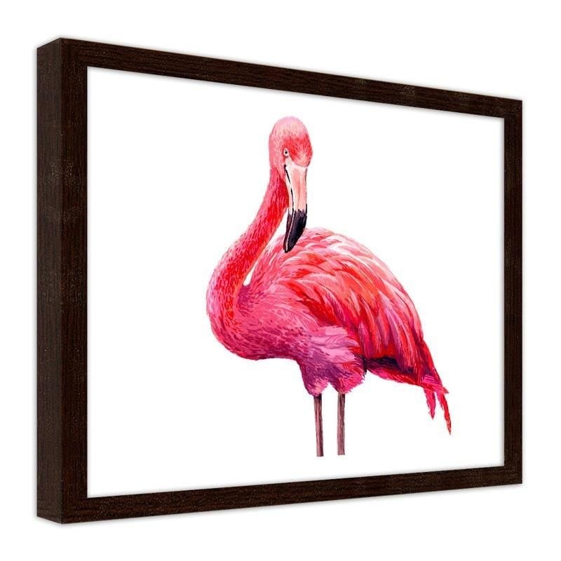 Glezna brūnā rāmī - Realistic illustration of a pink flamingo Home Trends DECO