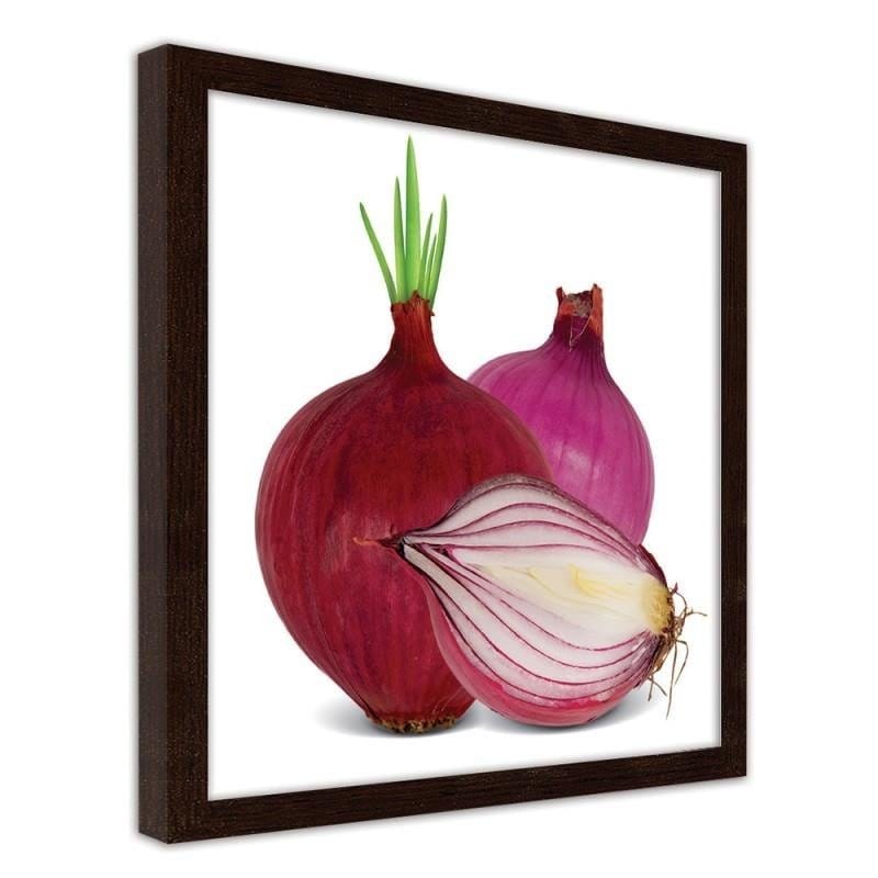 Glezna brūnā rāmī - Red onions Home Trends DECO