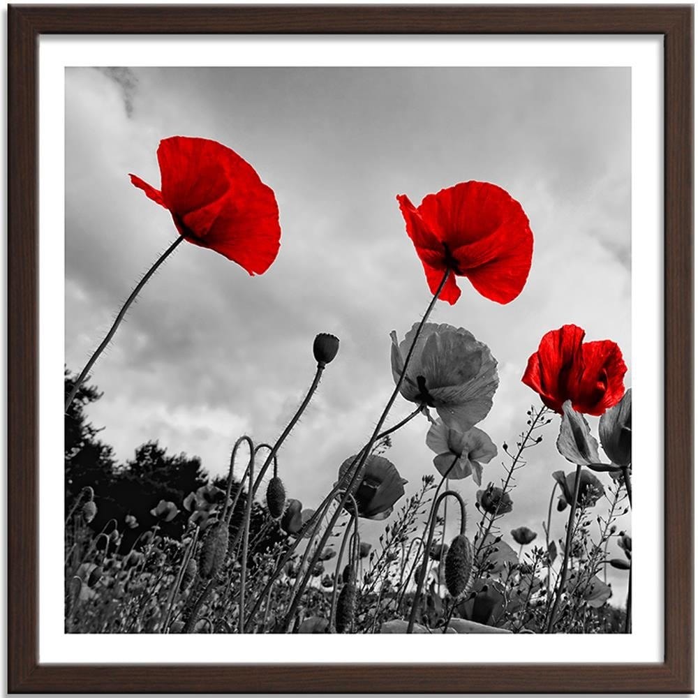 Glezna brūnā rāmī - Red Poppies On The Meadow Home Trends DECO
