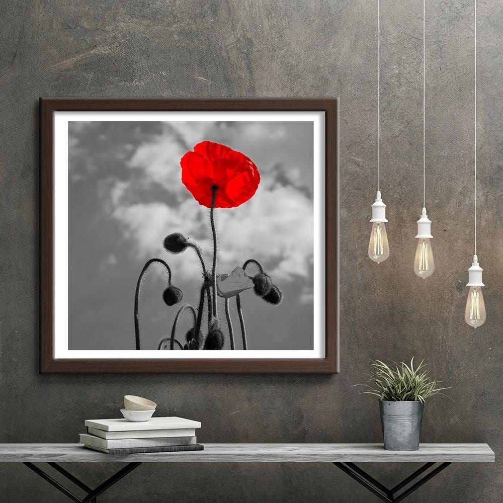 Glezna brūnā rāmī - Red Poppy Home Trends DECO