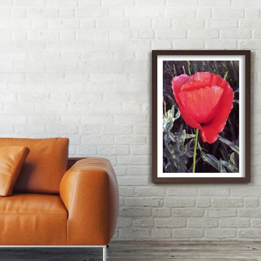 Glezna brūnā rāmī - Red Poppy Home Trends DECO