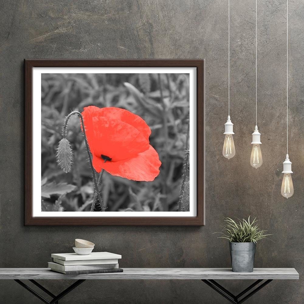 Glezna brūnā rāmī - Red Poppy In Gray Home Trends DECO