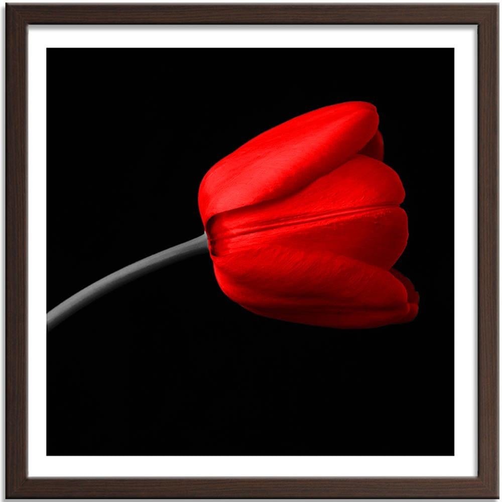 Glezna brūnā rāmī - Red Tulip Home Trends DECO
