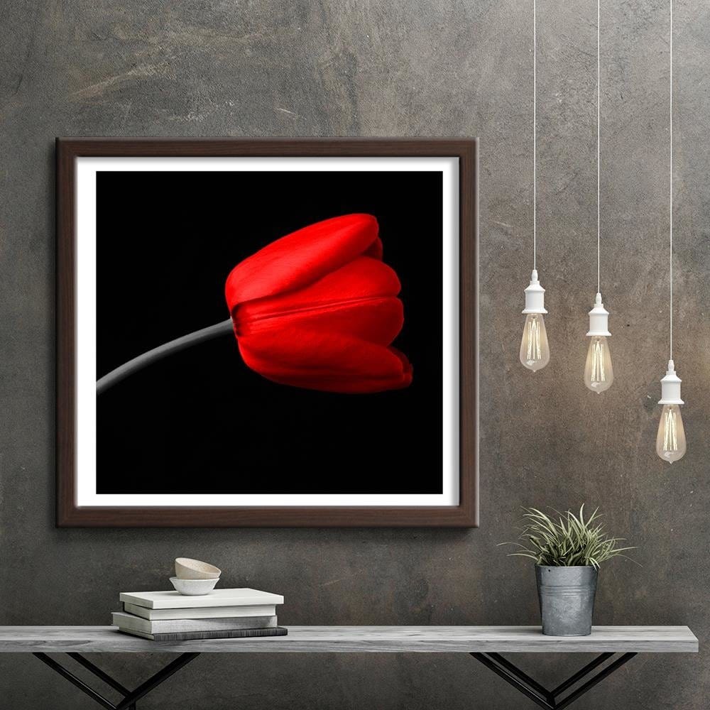 Glezna brūnā rāmī - Red Tulip Home Trends DECO
