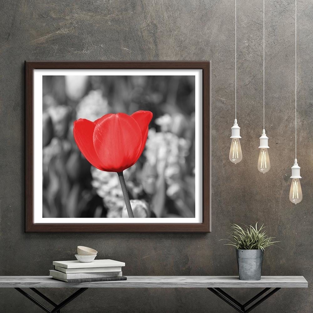 Glezna brūnā rāmī - Red Tulip On The Meadow Home Trends DECO