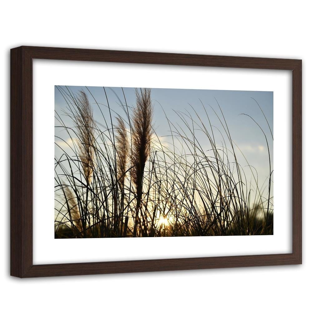 Glezna brūnā rāmī - Reed In The Sun Home Trends DECO