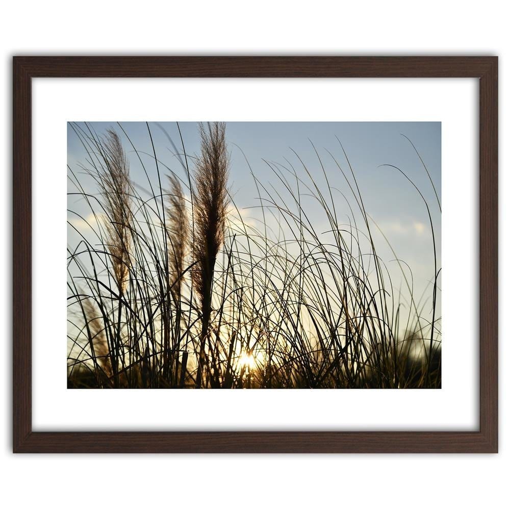 Glezna brūnā rāmī - Reed In The Sun Home Trends DECO