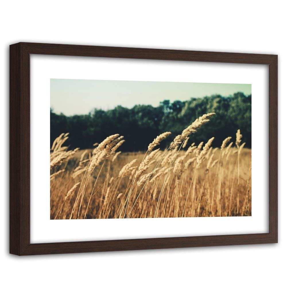 Glezna brūnā rāmī - Ripe Corn Home Trends DECO