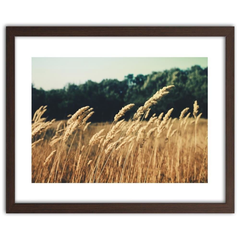 Glezna brūnā rāmī - Ripe Corn Home Trends DECO