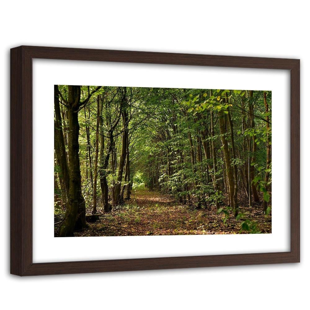 Glezna brūnā rāmī - Road In The Dense Forest Home Trends DECO