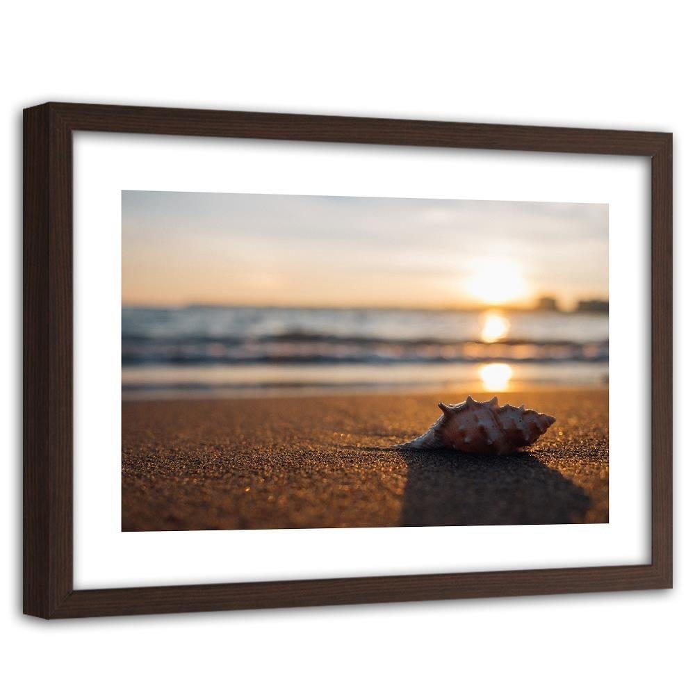 Glezna brūnā rāmī - Scallop On The Beach Home Trends DECO