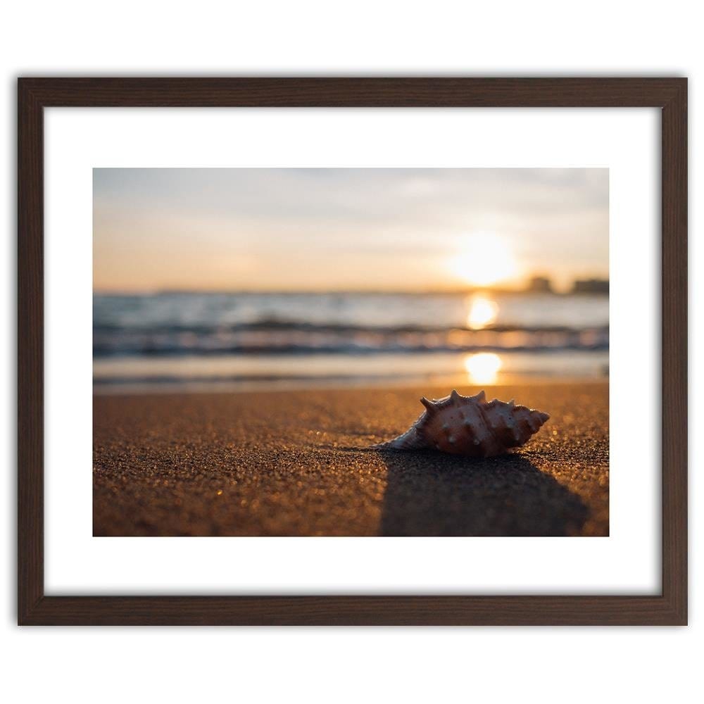 Glezna brūnā rāmī - Scallop On The Beach Home Trends DECO