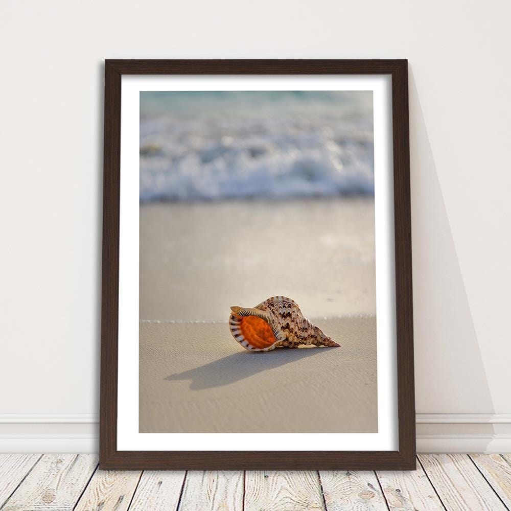Glezna brūnā rāmī - Shell On The Beach Home Trends DECO