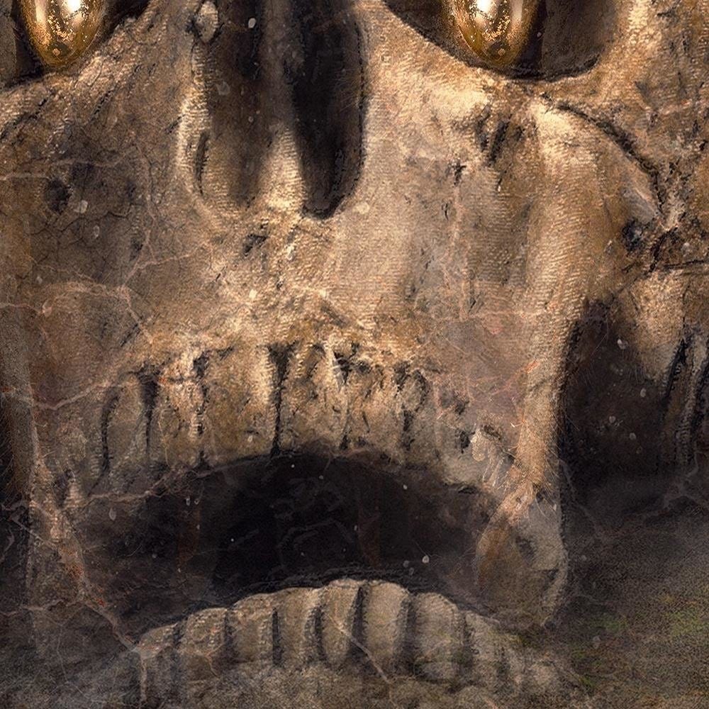 Glezna brūnā rāmī - Skull Fantasy Home Trends DECO