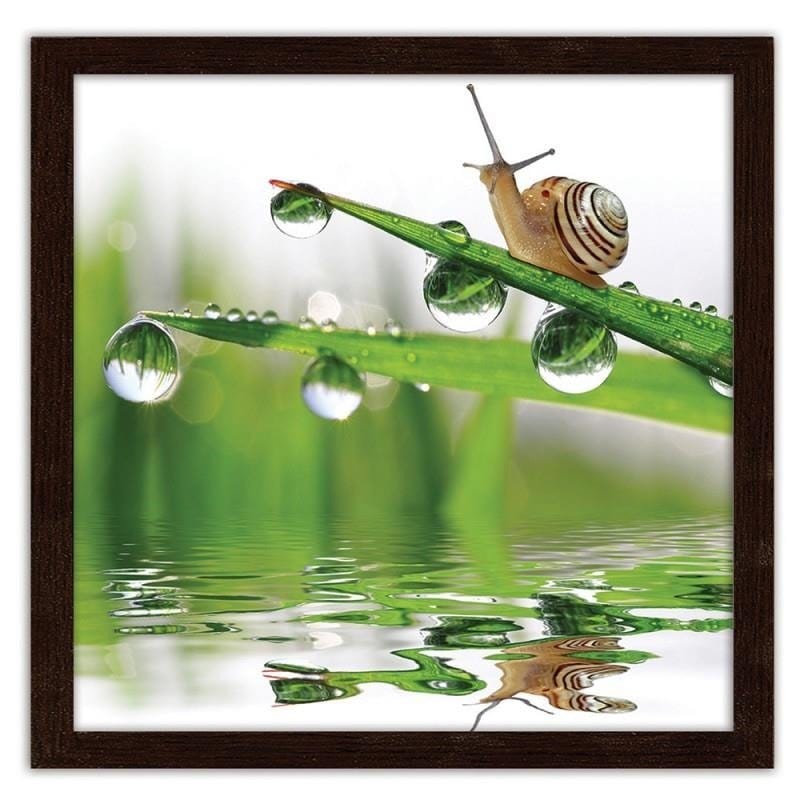 Glezna brūnā rāmī - Snail on sprinkled grass Home Trends DECO