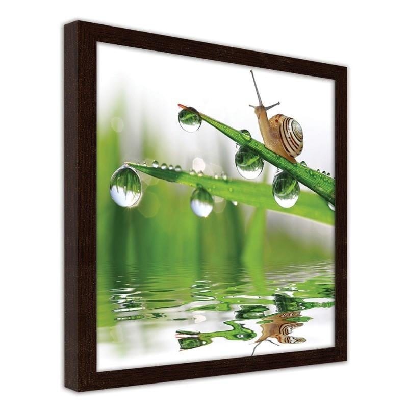Glezna brūnā rāmī - Snail on sprinkled grass Home Trends DECO