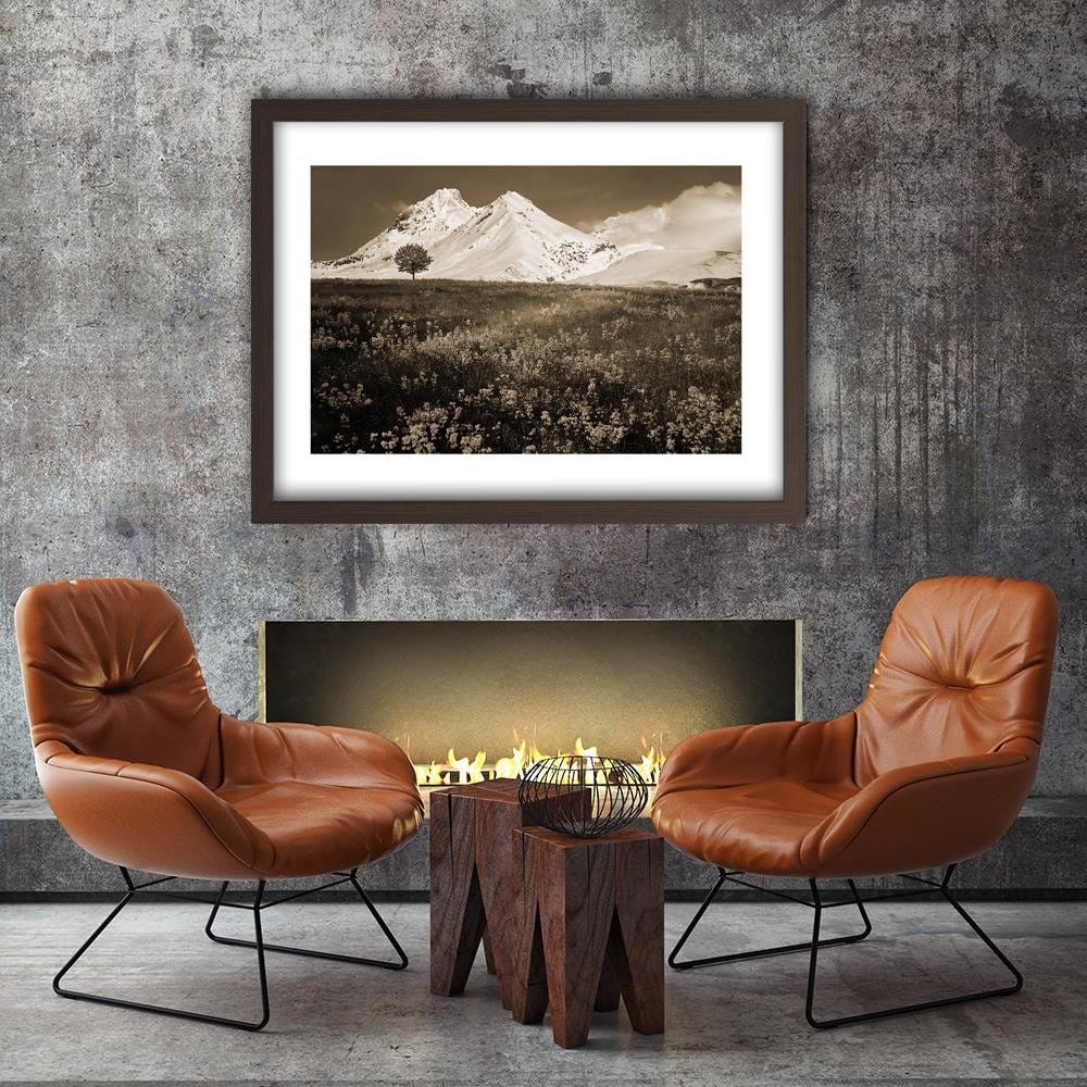 Glezna brūnā rāmī - Snowy Mountains And Colorful Meadow 1 Home Trends DECO