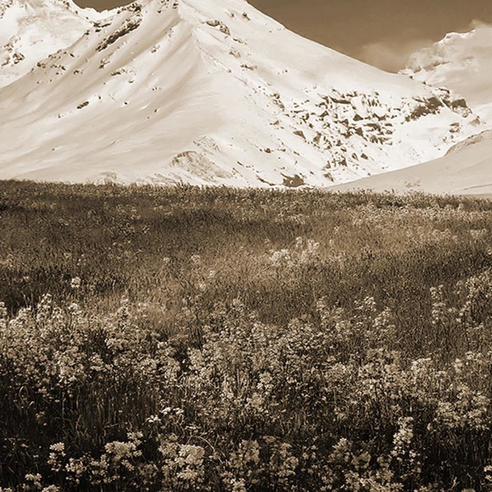 Glezna brūnā rāmī - Snowy Mountains And Colorful Meadow 1 Home Trends DECO