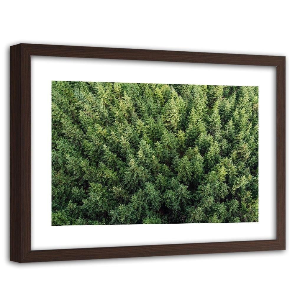 Glezna brūnā rāmī - Spruce Forest Home Trends DECO