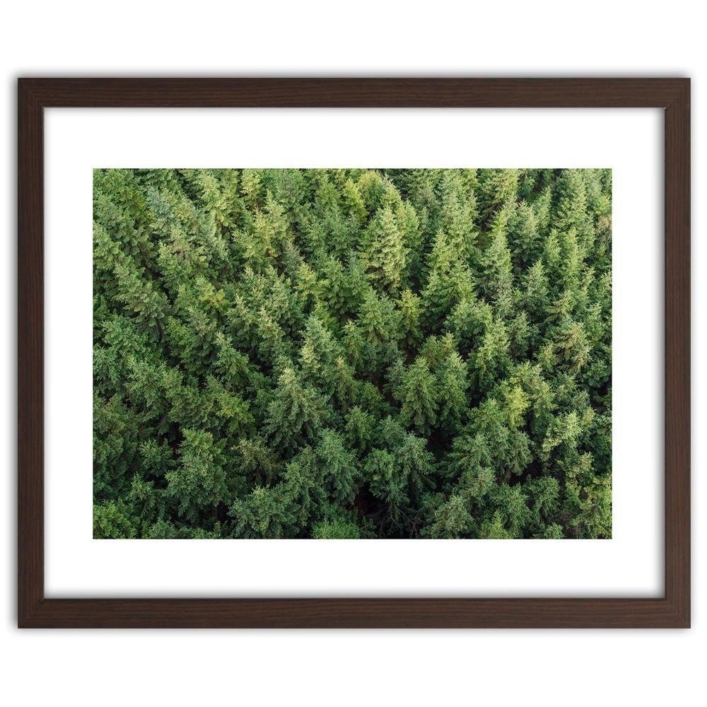 Glezna brūnā rāmī - Spruce Forest Home Trends DECO