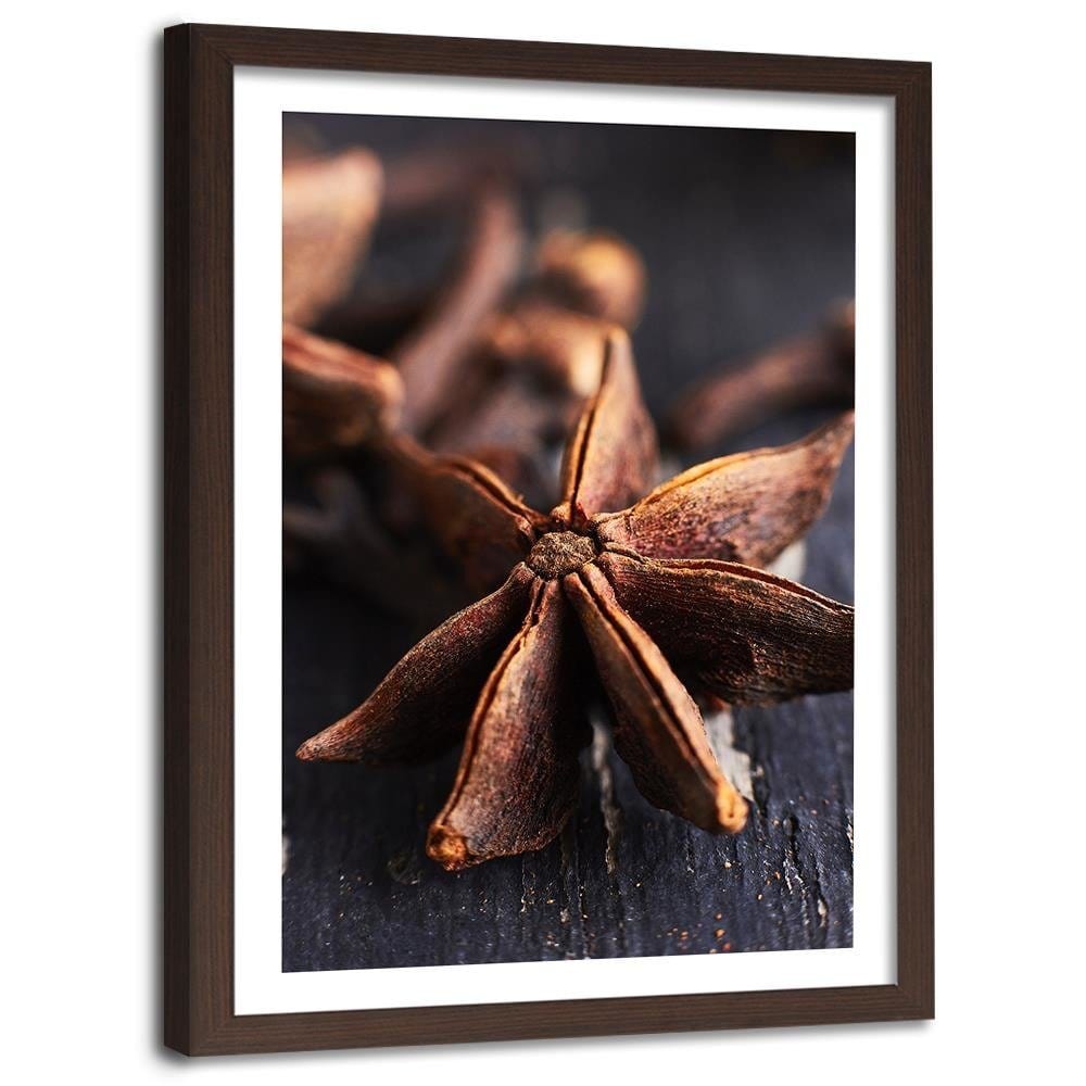 Glezna brūnā rāmī - Star Anise Home Trends DECO