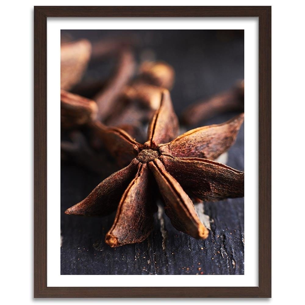 Glezna brūnā rāmī - Star Anise Home Trends DECO