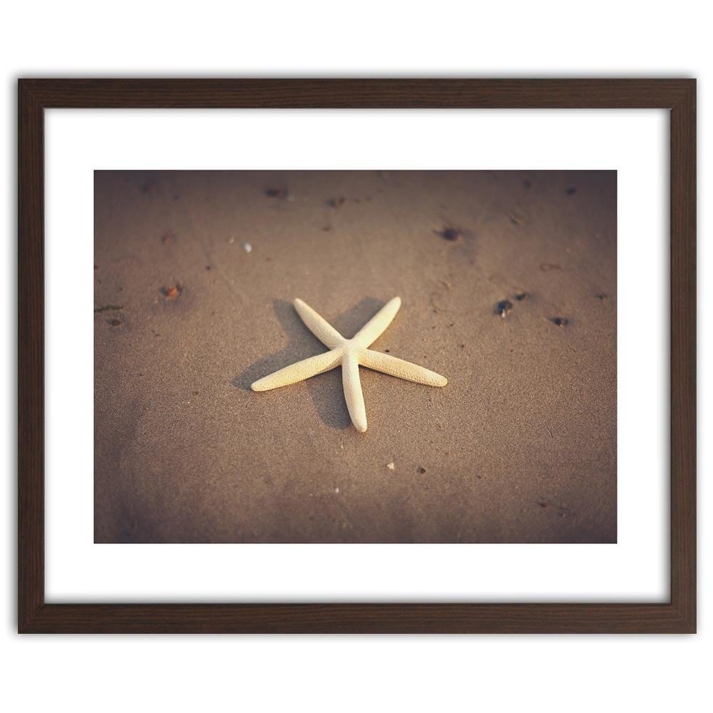 Glezna brūnā rāmī - Starfish Home Trends DECO