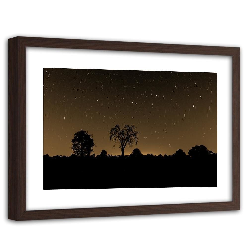 Glezna brūnā rāmī - Starlight 1 Home Trends DECO