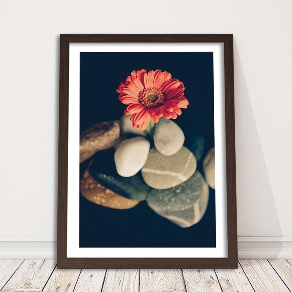 Glezna brūnā rāmī - Stones And Red Flower  Home Trends DECO