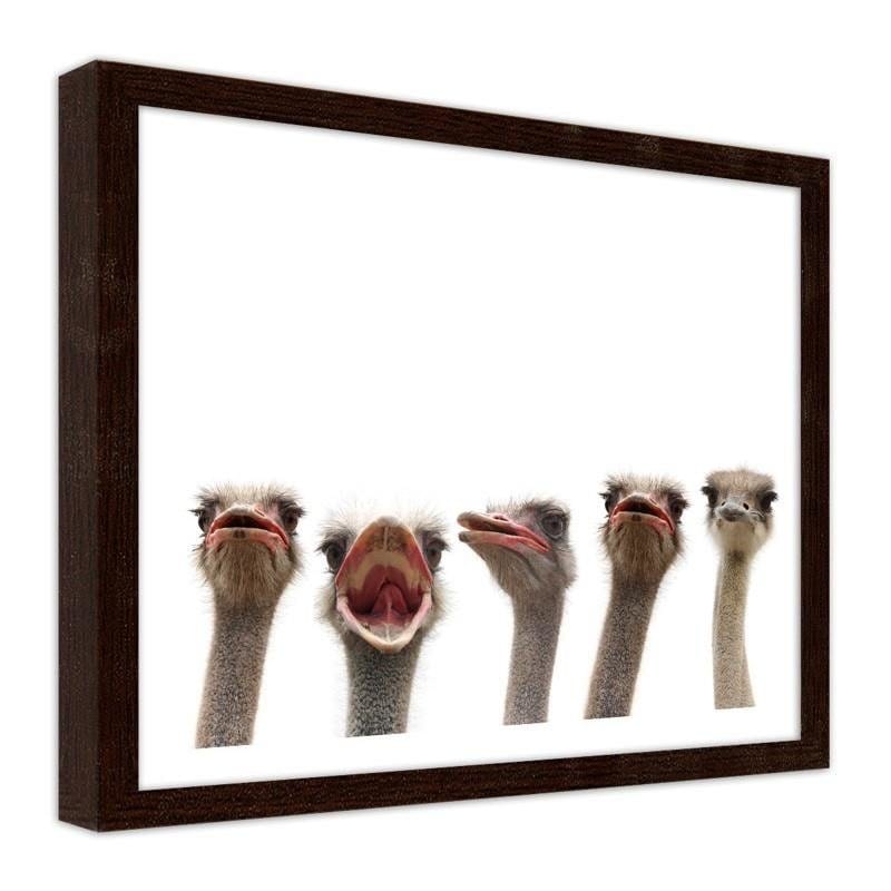 Glezna brūnā rāmī - Strusie Home Trends DECO