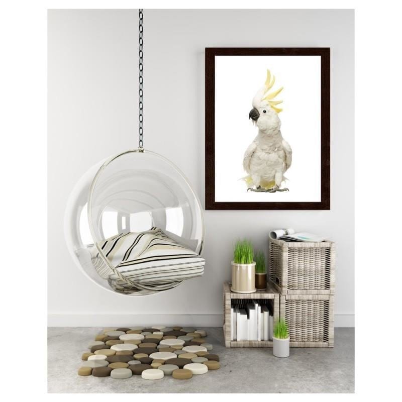 Glezna brūnā rāmī - Sulfur-crested cockatoos Home Trends DECO